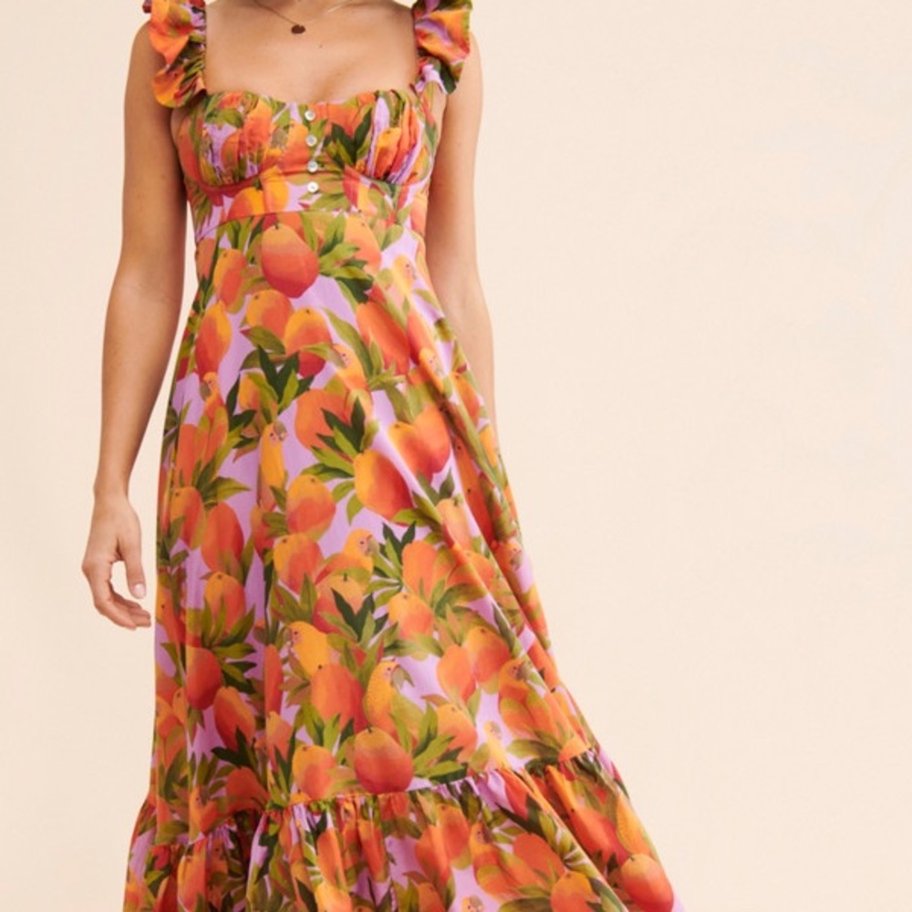 Farm Rio Women's Mango Macaws Maxi Dress sz M. MSRP $265